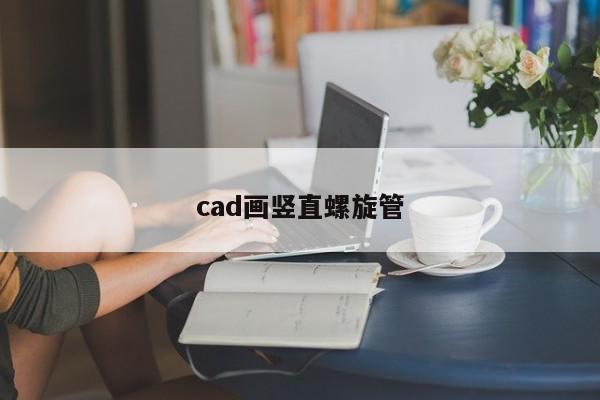 cad畫豎直螺旋管